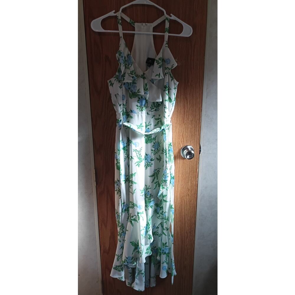 Disney Princess Floral Ruffle Dress Resort Cottage Garden Romantic Medium